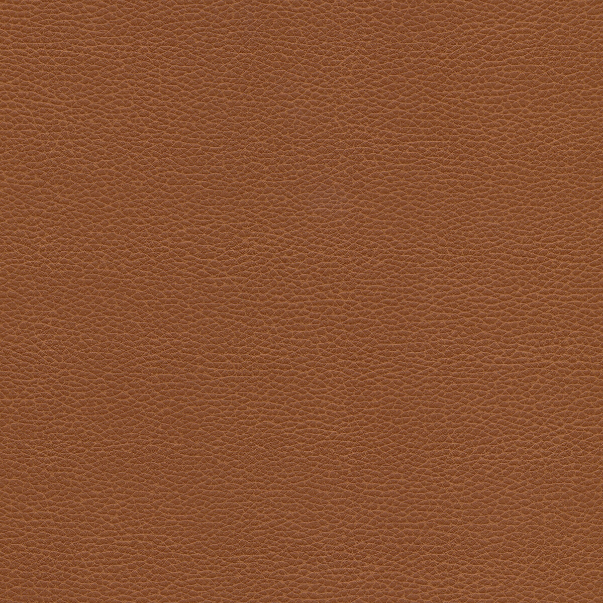 tannin60-kravet-design-tannin-6-kravet-design - KRAVET DESIGN Fabric