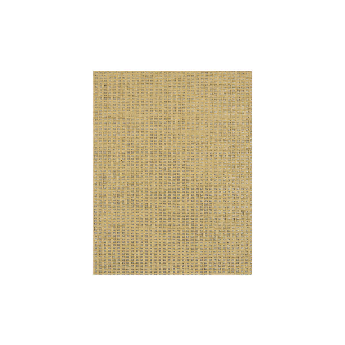 wiw2554wt0-playa-straw-winfield-thybony - WINFIELD THYBONY Wallpaper