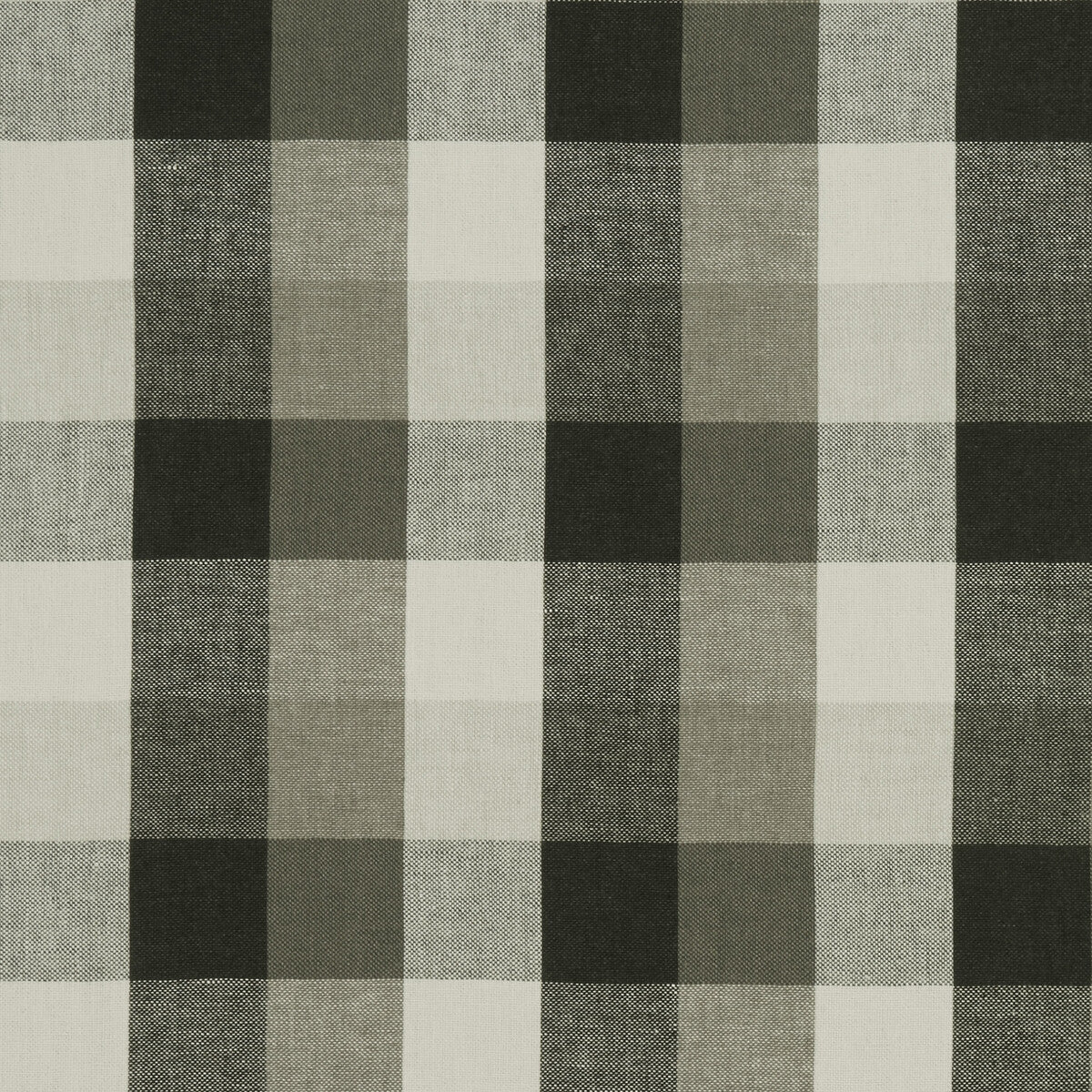f104201cac0-austin-check-charcoal-clarke-and-clarke - CLARKE AND CLARKE Fabric