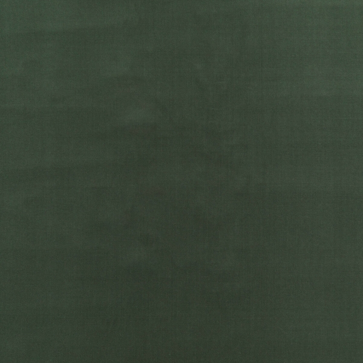 bf108387730-baker-house-velvet-eucalyptus-g-p-j-baker - G P & J BAKER Fabric