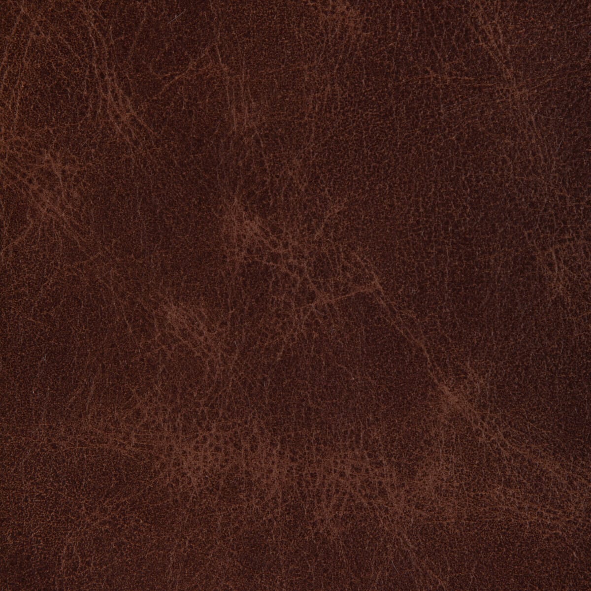 l-ovinerusset0-l-ovine-russet-kravet-design - KRAVET DESIGN Fabric