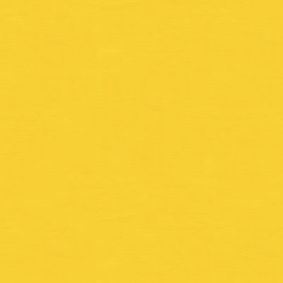 br-81081j0-ninon-taffetas-jaune-brunschwig-fils - BRUNSCHWIG & FILS Fabric
