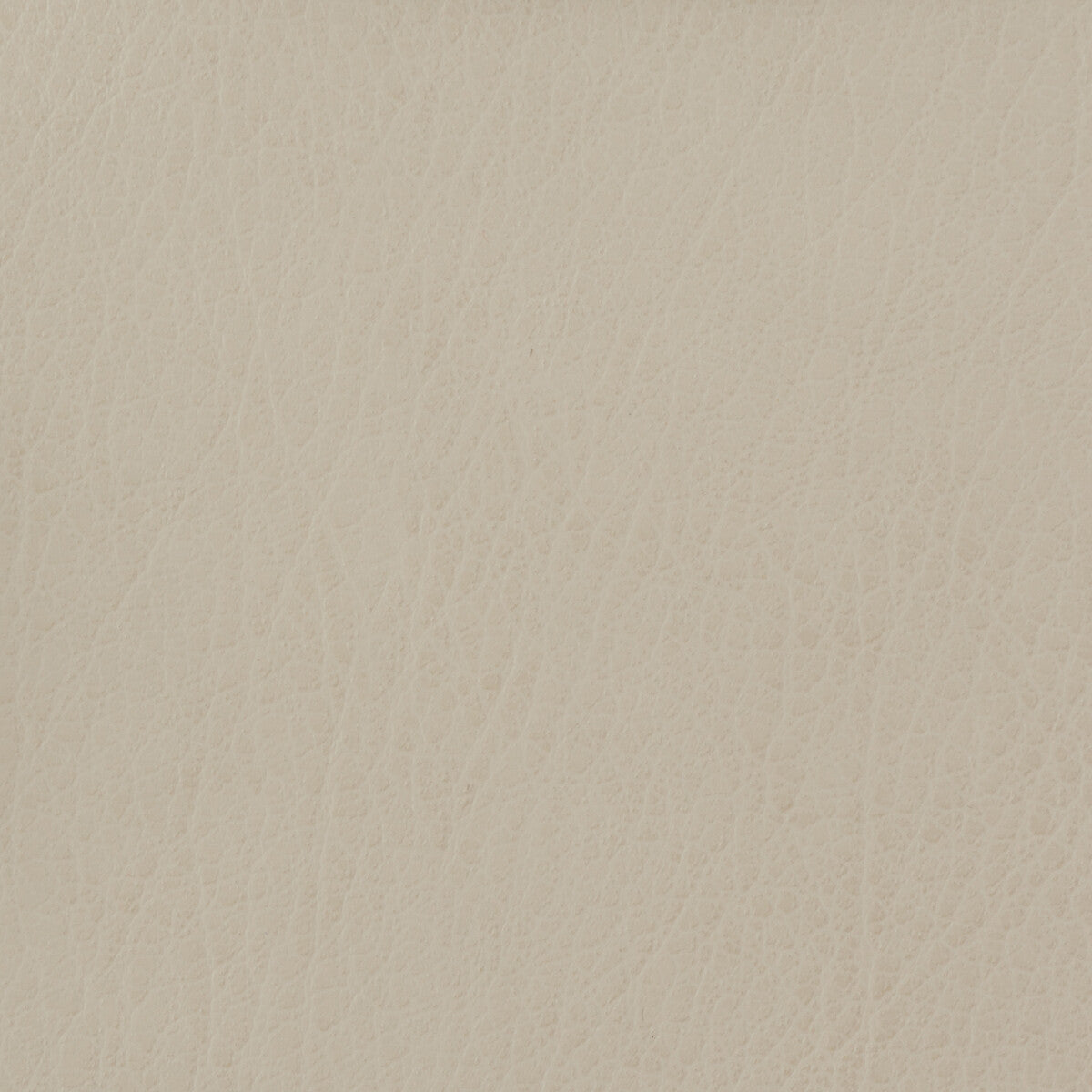 celine1110-kravet-basics-celine-111 - KRAVET BASICS Fabric