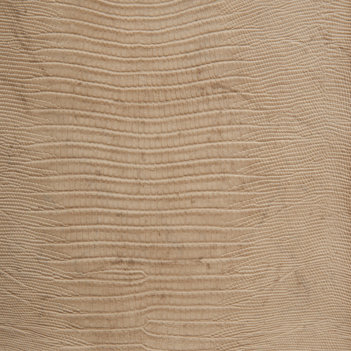 namaqua160-kravet-design-namaqua-16-kravet-design
