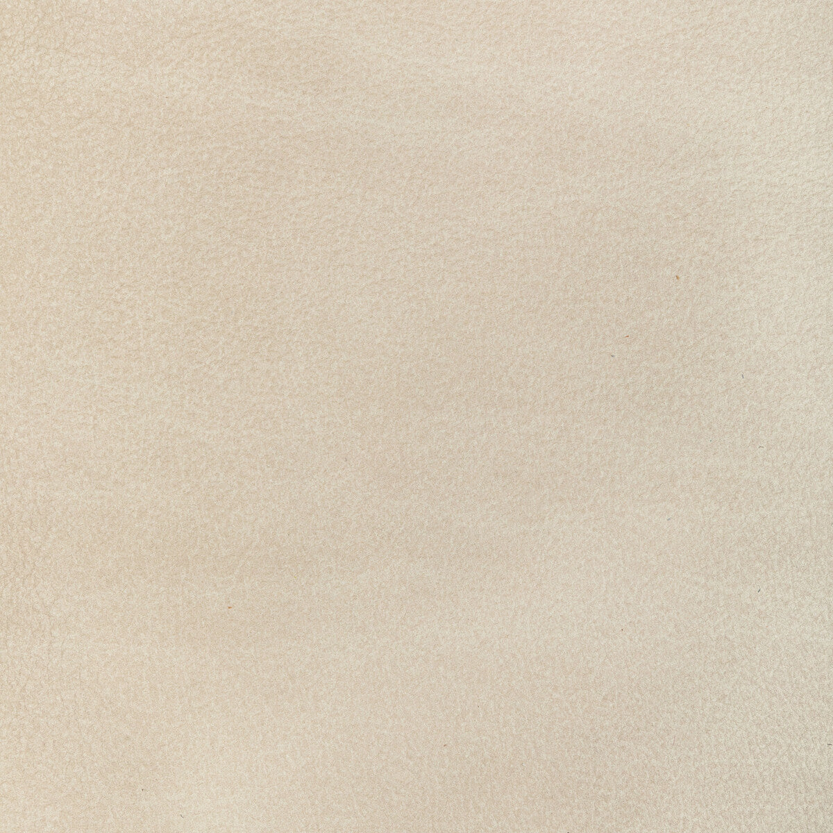 l-canterbisque0-kravet-design-l-canter-bisque-kravet-design
