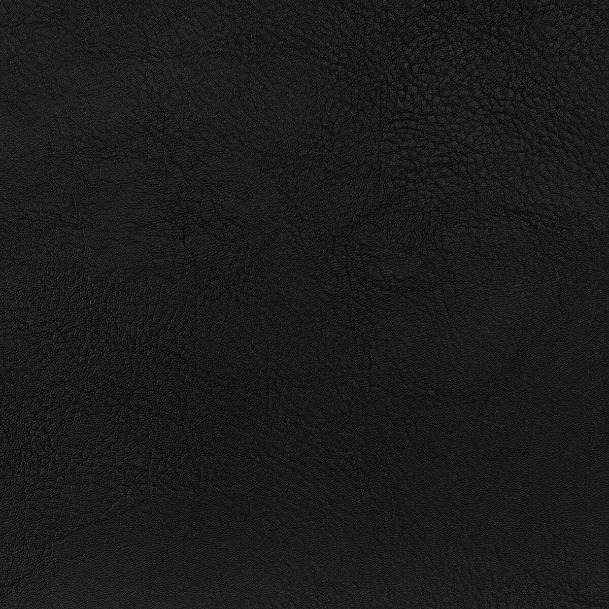 spur80-spur-stallion-kravet-contract