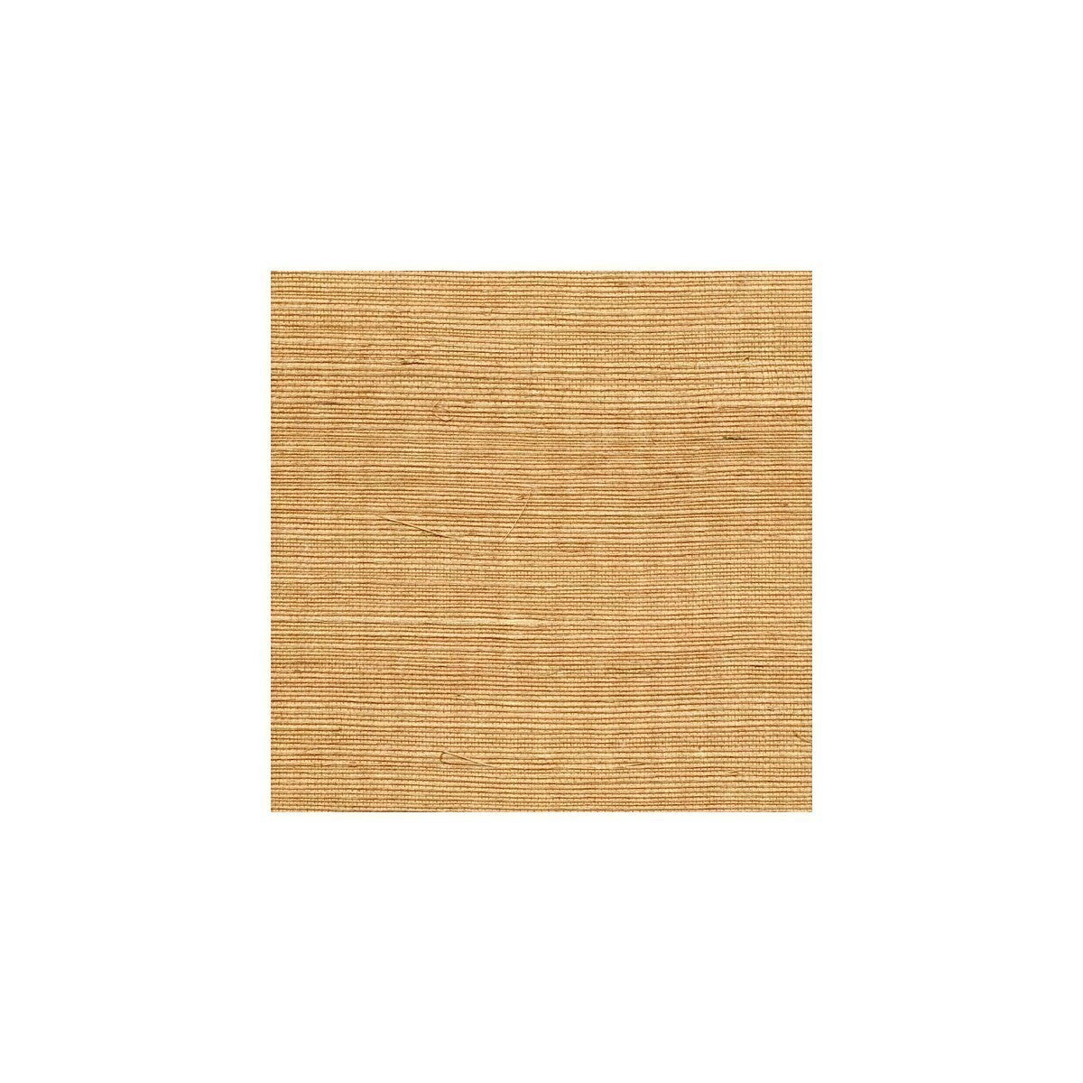 wss4544wt0-sisal-butterscotch-winfield-thybony - WINFIELD THYBONY Wallpaper
