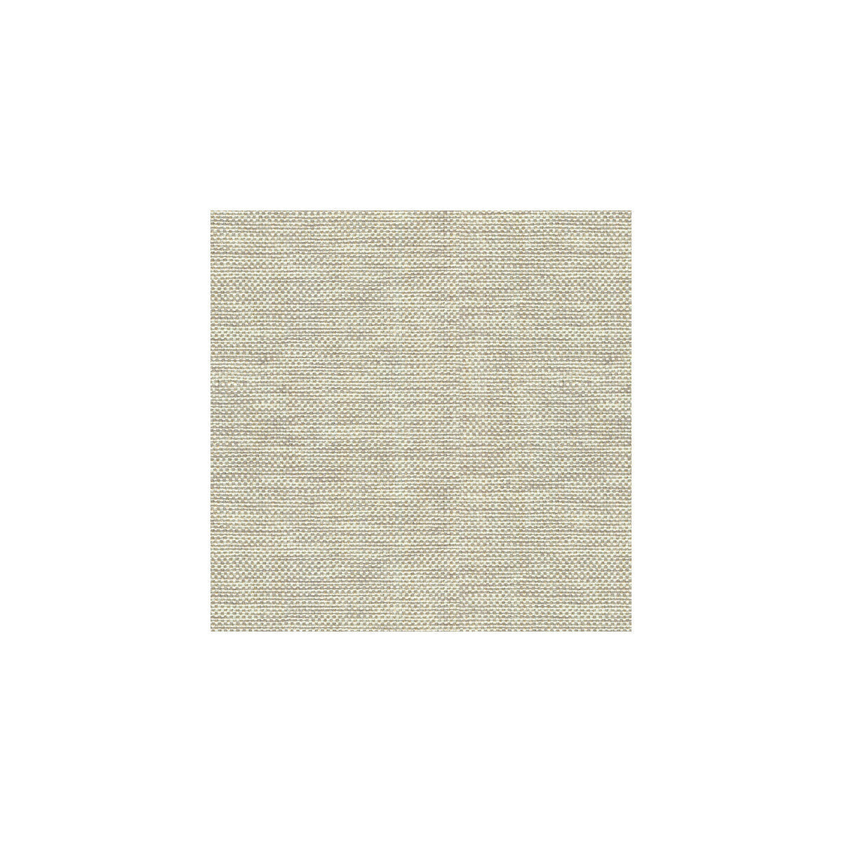 302991060-kravet-basics-30299-106