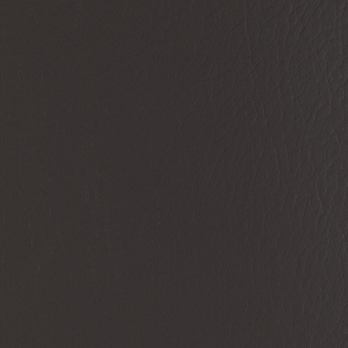 forza21210-forza-stallion-kravet-contract