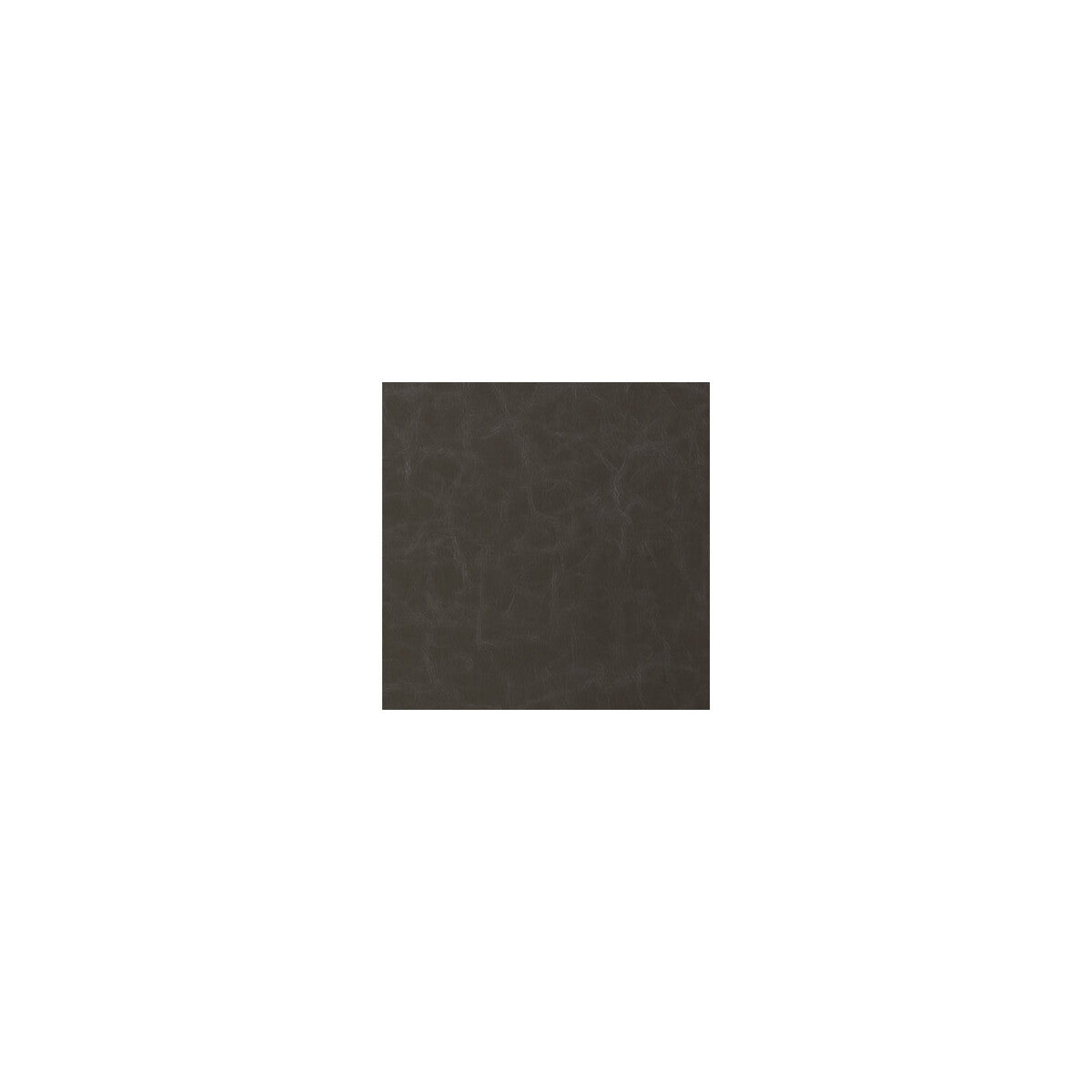 santina110-santina-thunder-kravet-contract