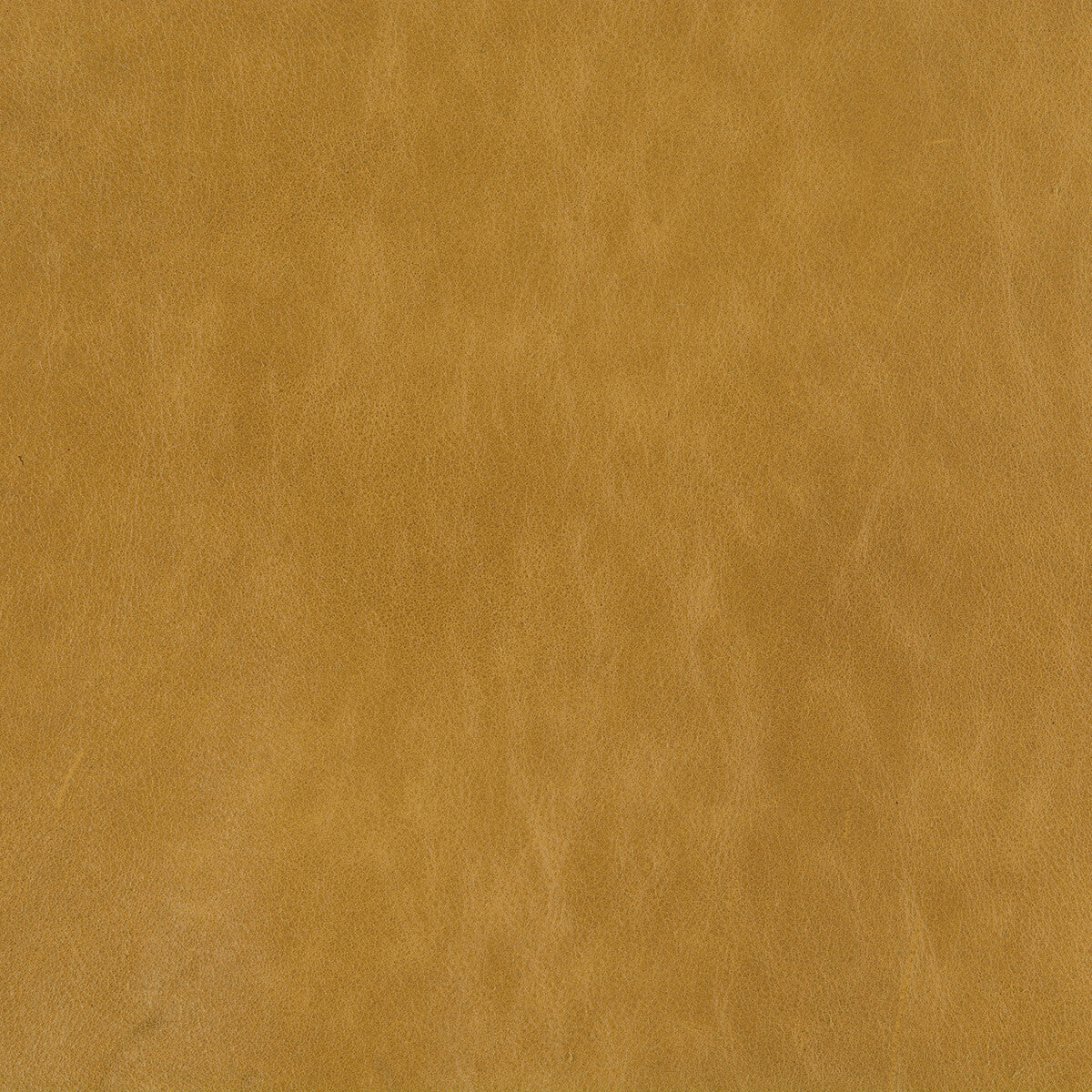 l-cueroflax0-kravet-design-l-cuero-flax-kravet-design