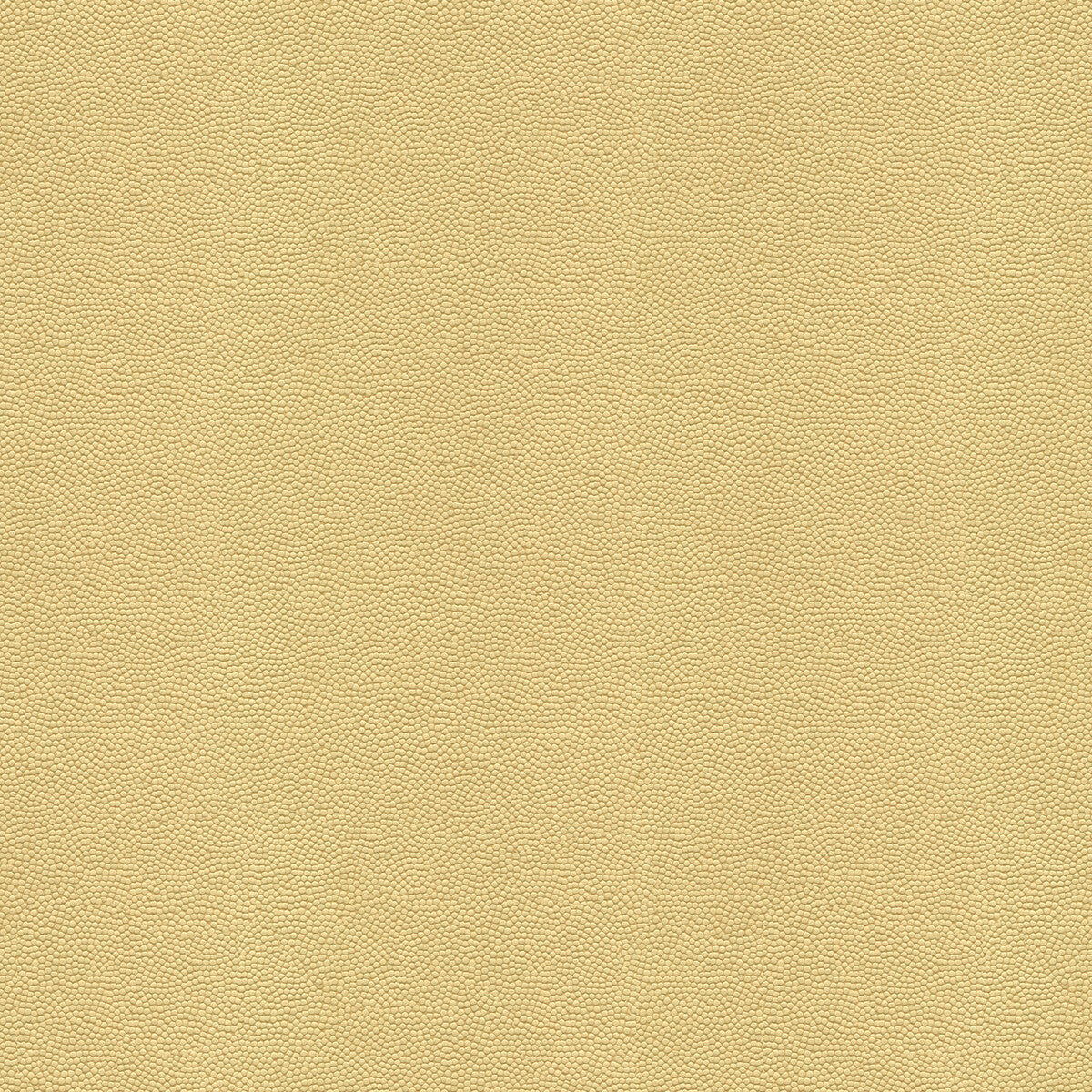 beautymark1160-beautymark-fog-kravet-couture