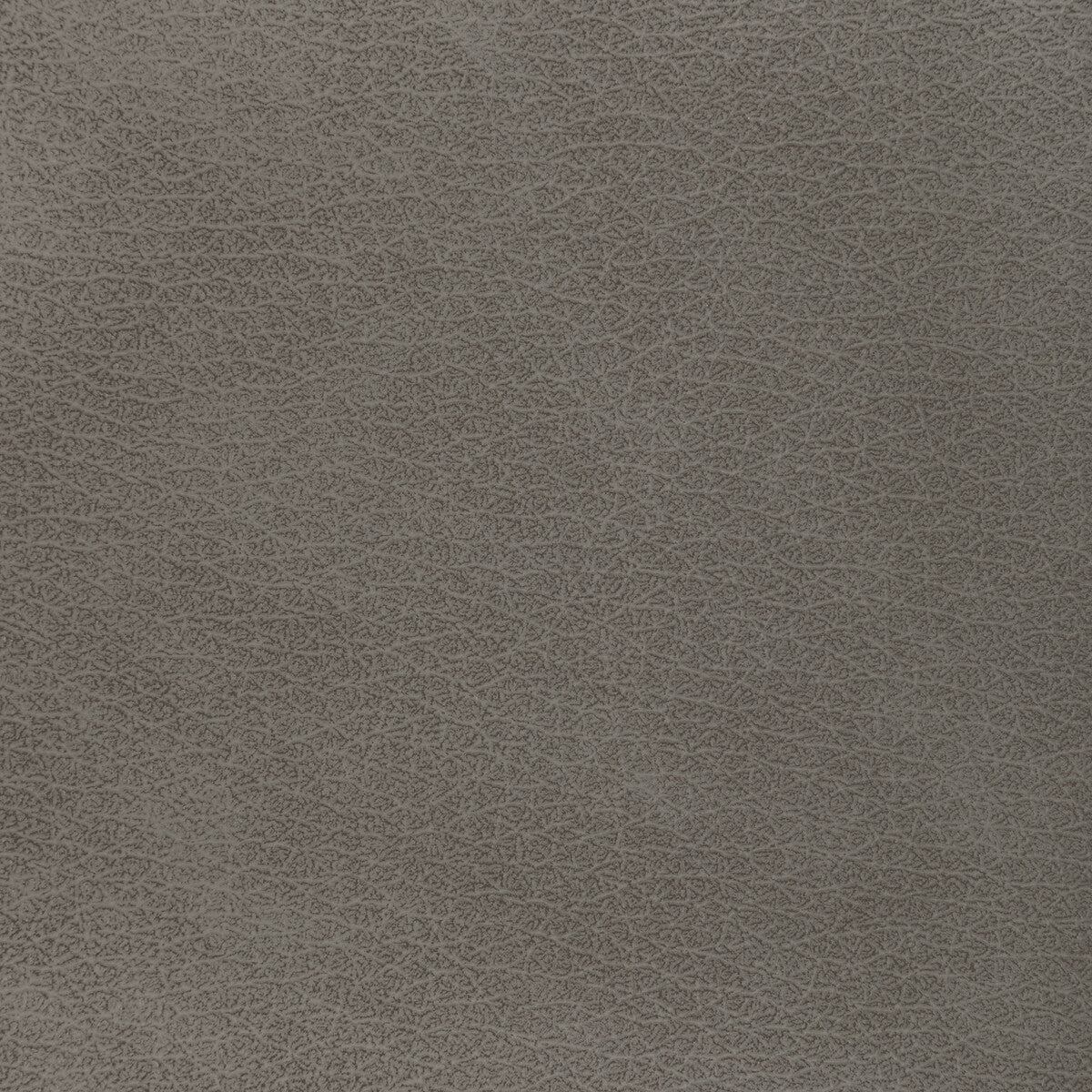 l-el-vadotaupe0-kravet-design-l-el-vado-taupe-kravet-design
