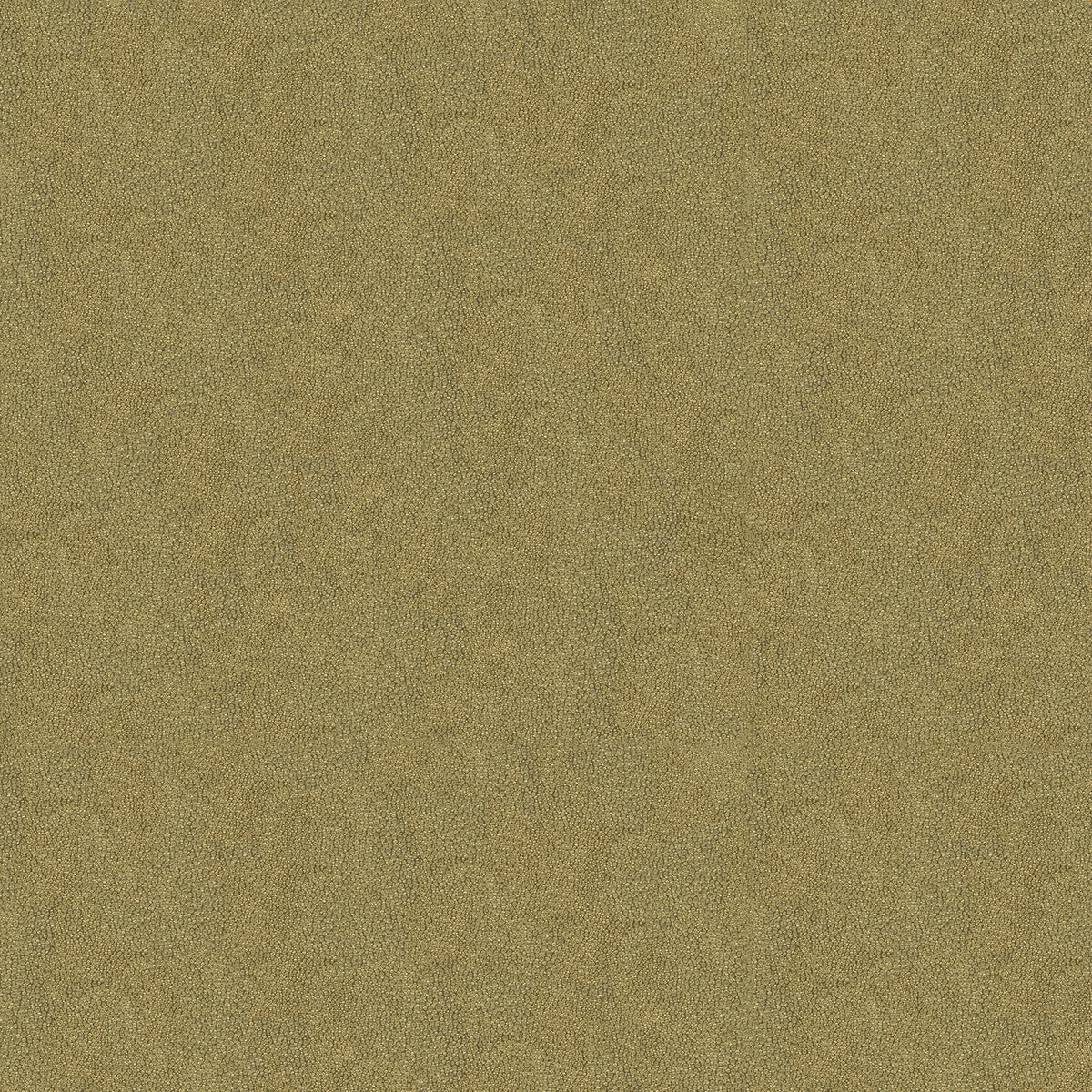 debut210-debut-pumice-kravet-couture - KRAVET COUTURE Fabric