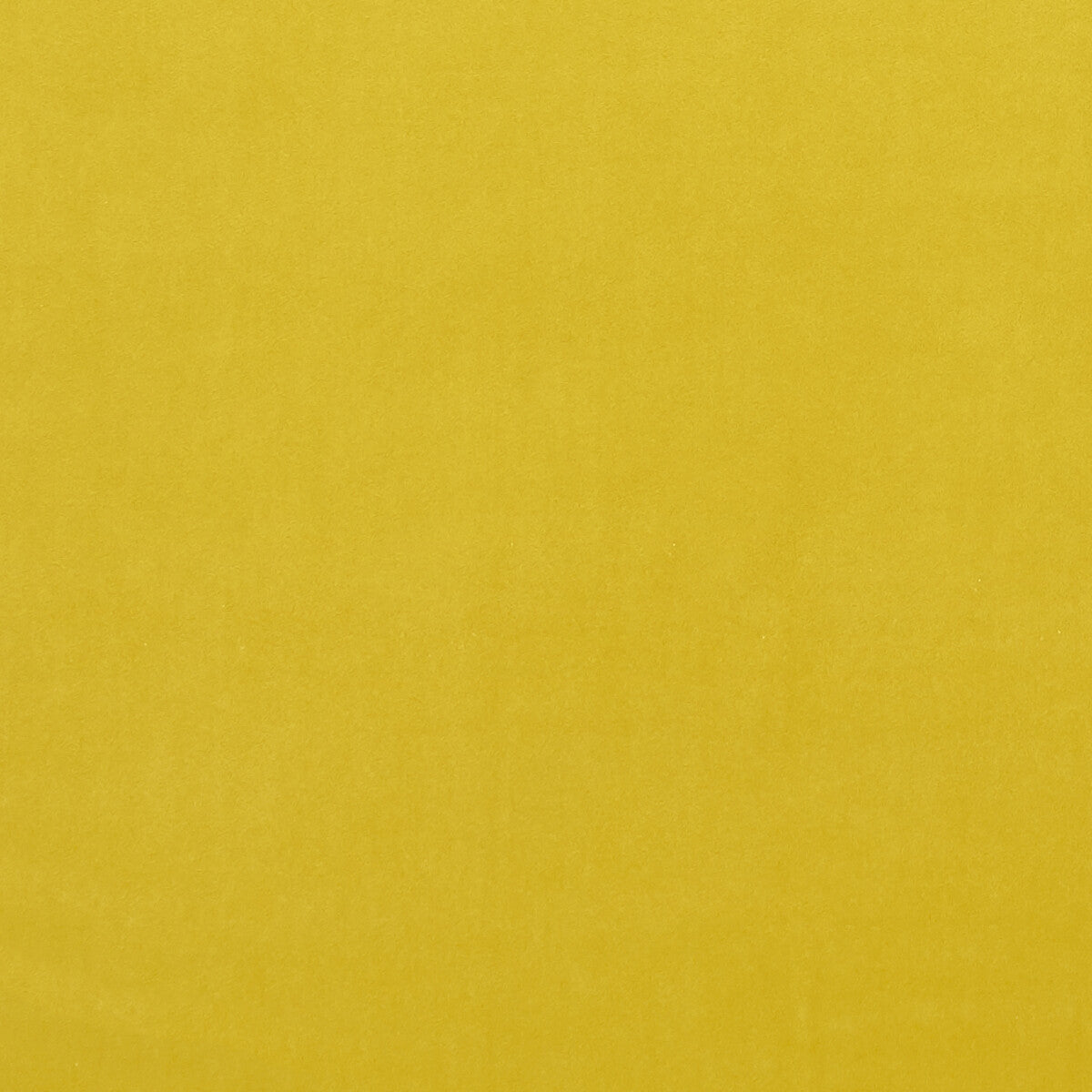 f075356cac0-alvar-chartreuse-clarke-and-clarke - CLARKE AND CLARKE Fabric