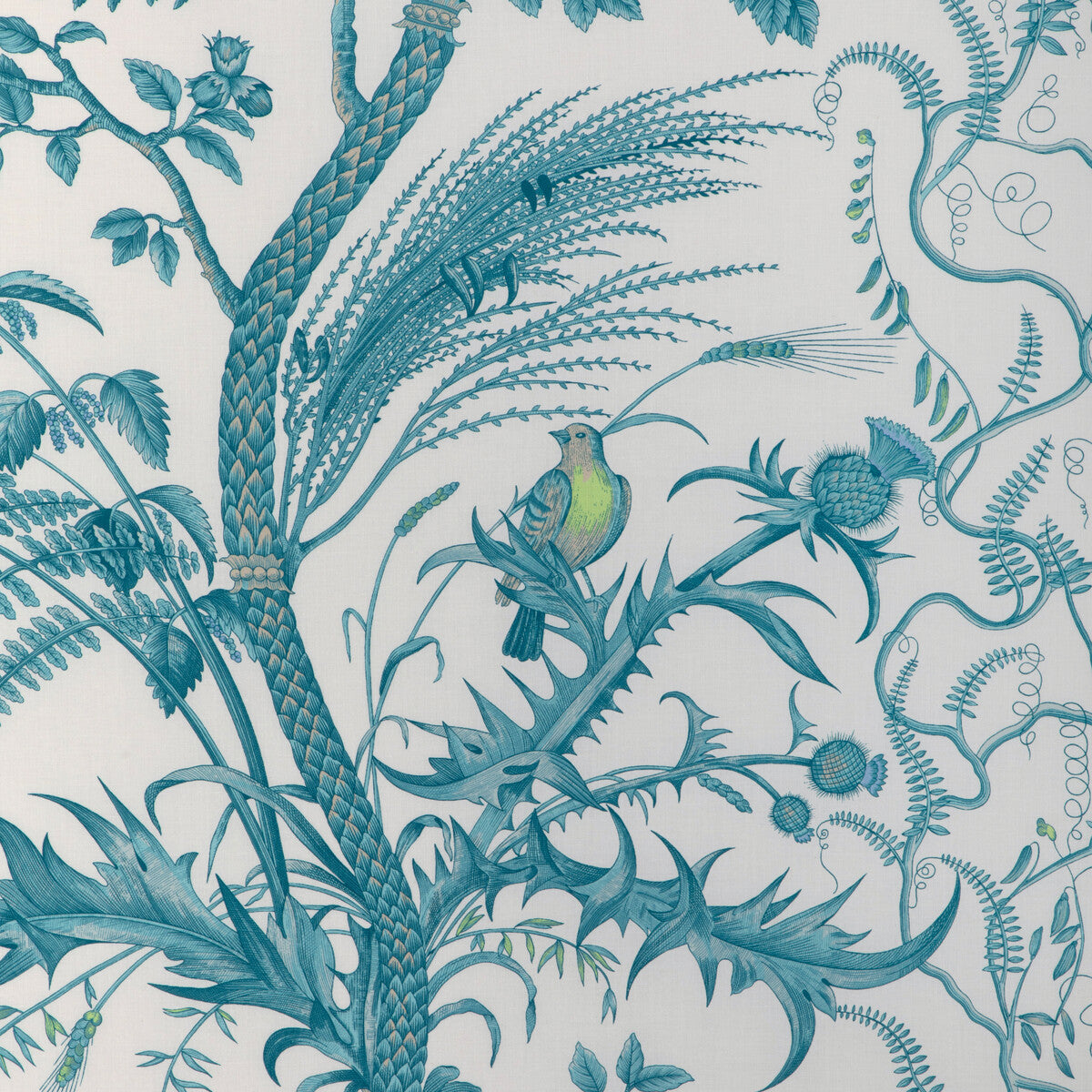br-794315130-bird-and-thistle-cotton-print-aqua-brunschwig-fils - BRUNSCHWIG & FILS Fabric