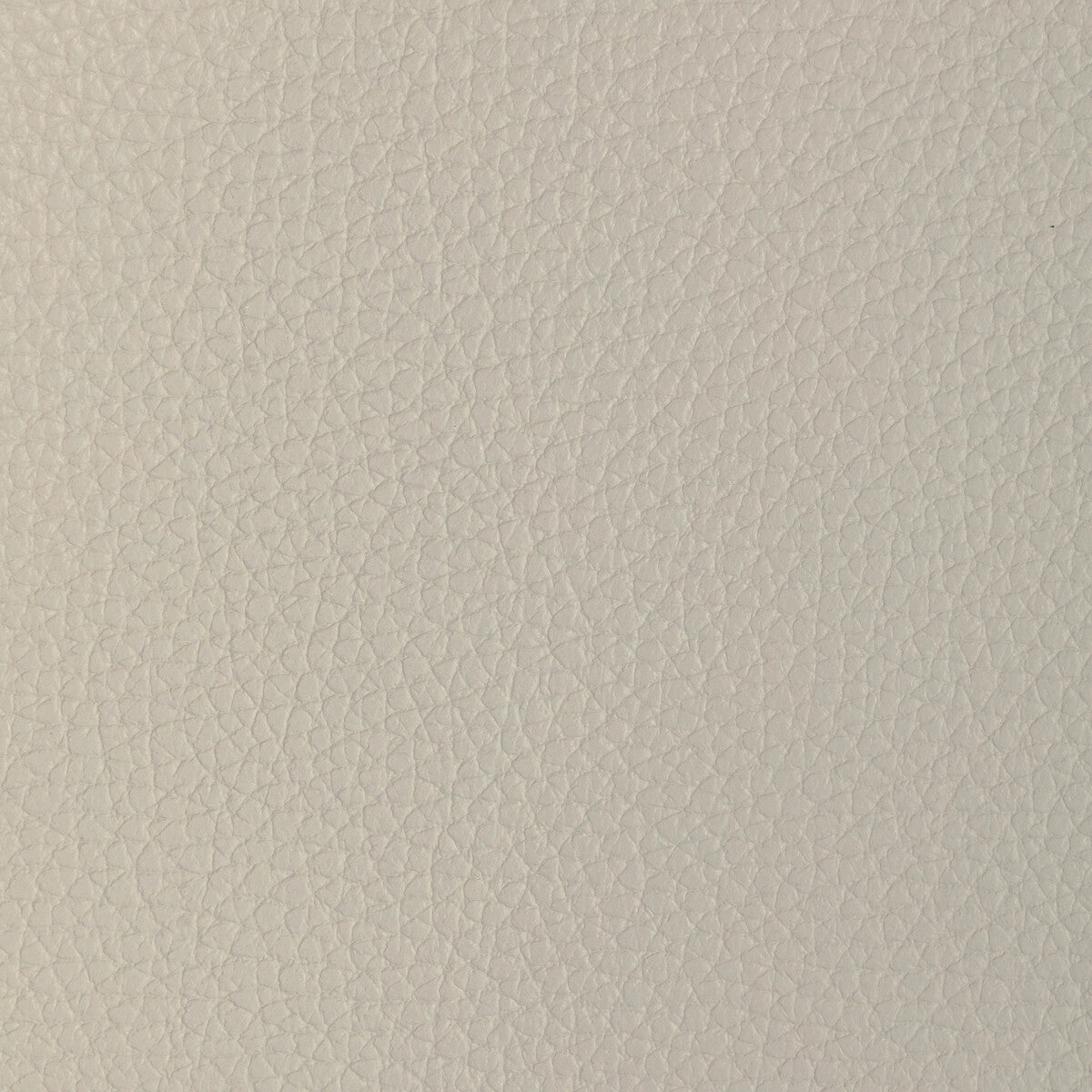 l-tucumdove0-kravet-design-l-tucum-dove-kravet-design