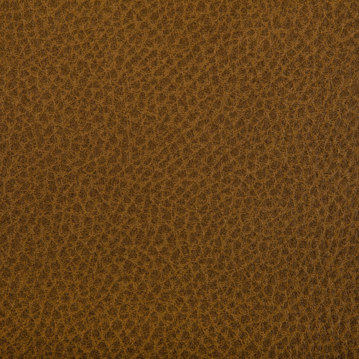 woolf6060-woolf-saddlebag-kravet-contract - KRAVET CONTRACT Fabric