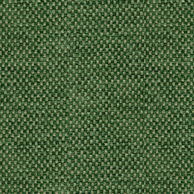 br-817824880-yorke-chenille-forest-brunschwig-fils - BRUNSCHWIG & FILS Fabric