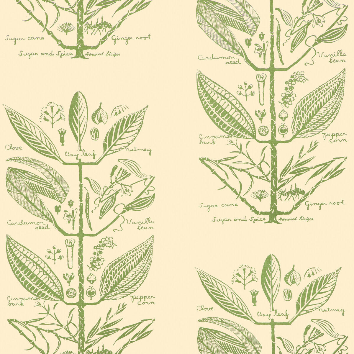 w4263300-sugar-and-spice-wp-cactus-kravet-couture - KRAVET COUTURE Wallpaper