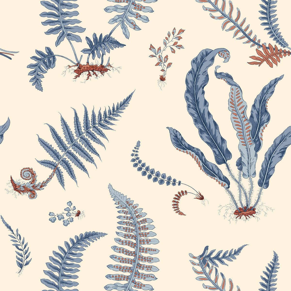 sp-bw4510810-ferns-jubilee-g-p-j-baker