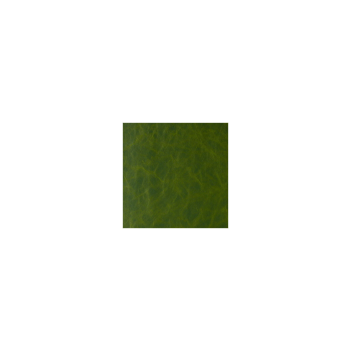 daytripper30-daytripper-jungle-love-kravet-contract - KRAVET CONTRACT Fabric