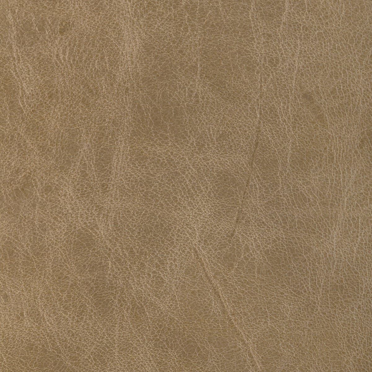 l-brantleytan0-l-brantley-tan-kravet-design - KRAVET DESIGN Fabric