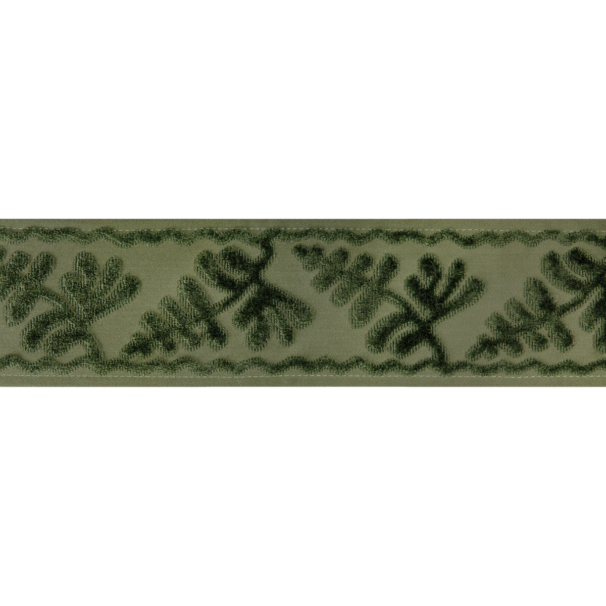 t802410130-cassis-tape-peridot-brunschwig-fils - BRUNSCHWIG & FILS Trim