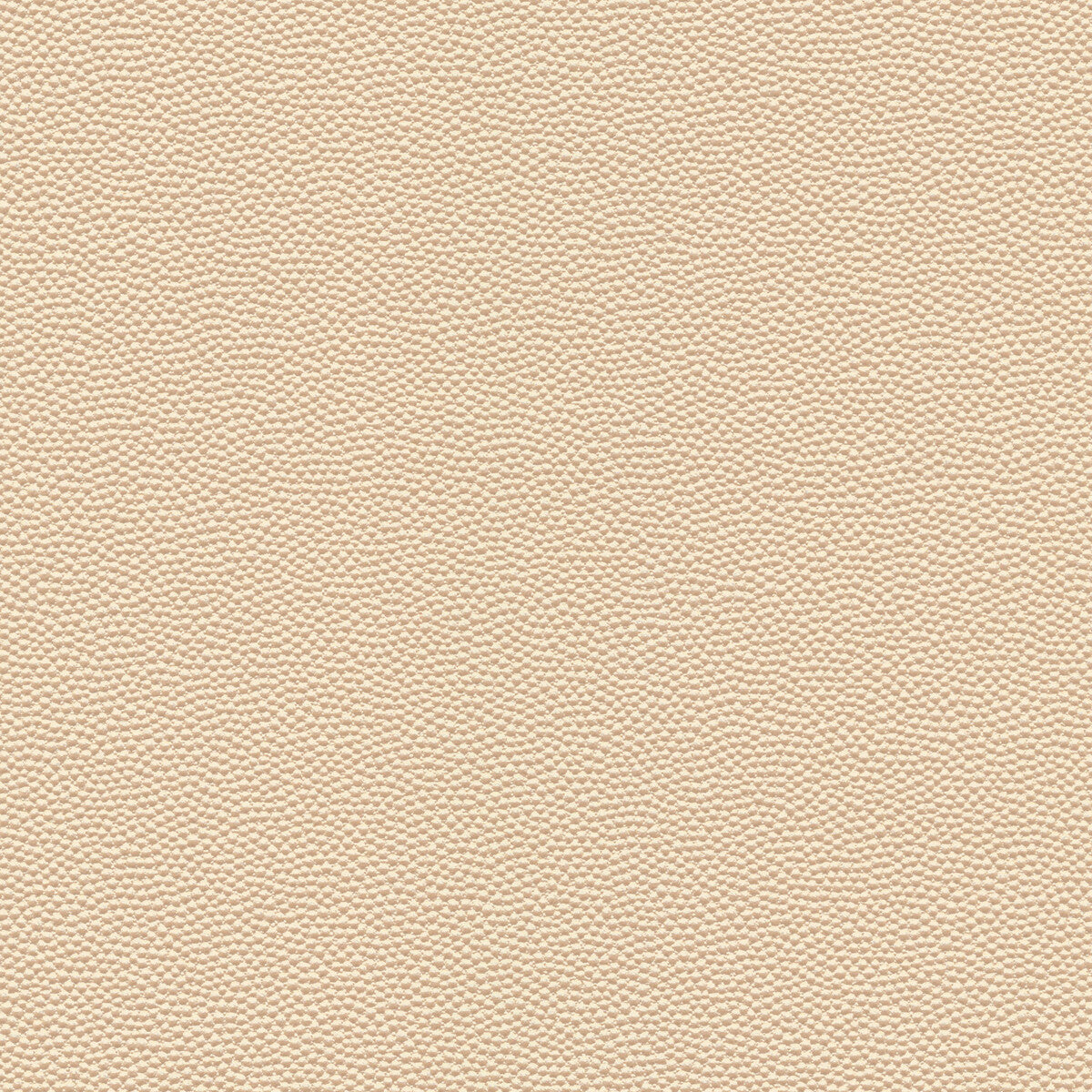 hammer10-kravet-design-hammer-1-kravet-design