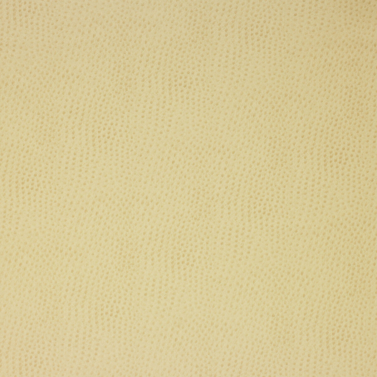 delaney1160-kravet-design-delaney-116-kravet-design - KRAVET DESIGN Fabric