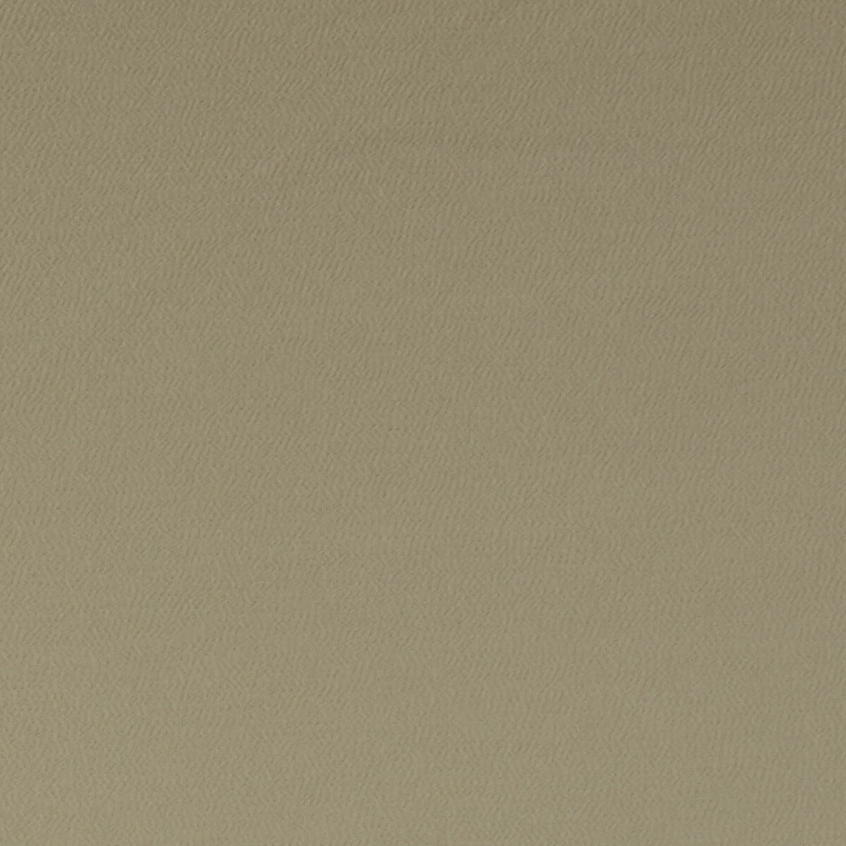 f106237cac0-spectrum-sesame-clarke-and-clarke - CLARKE AND CLARKE Fabric