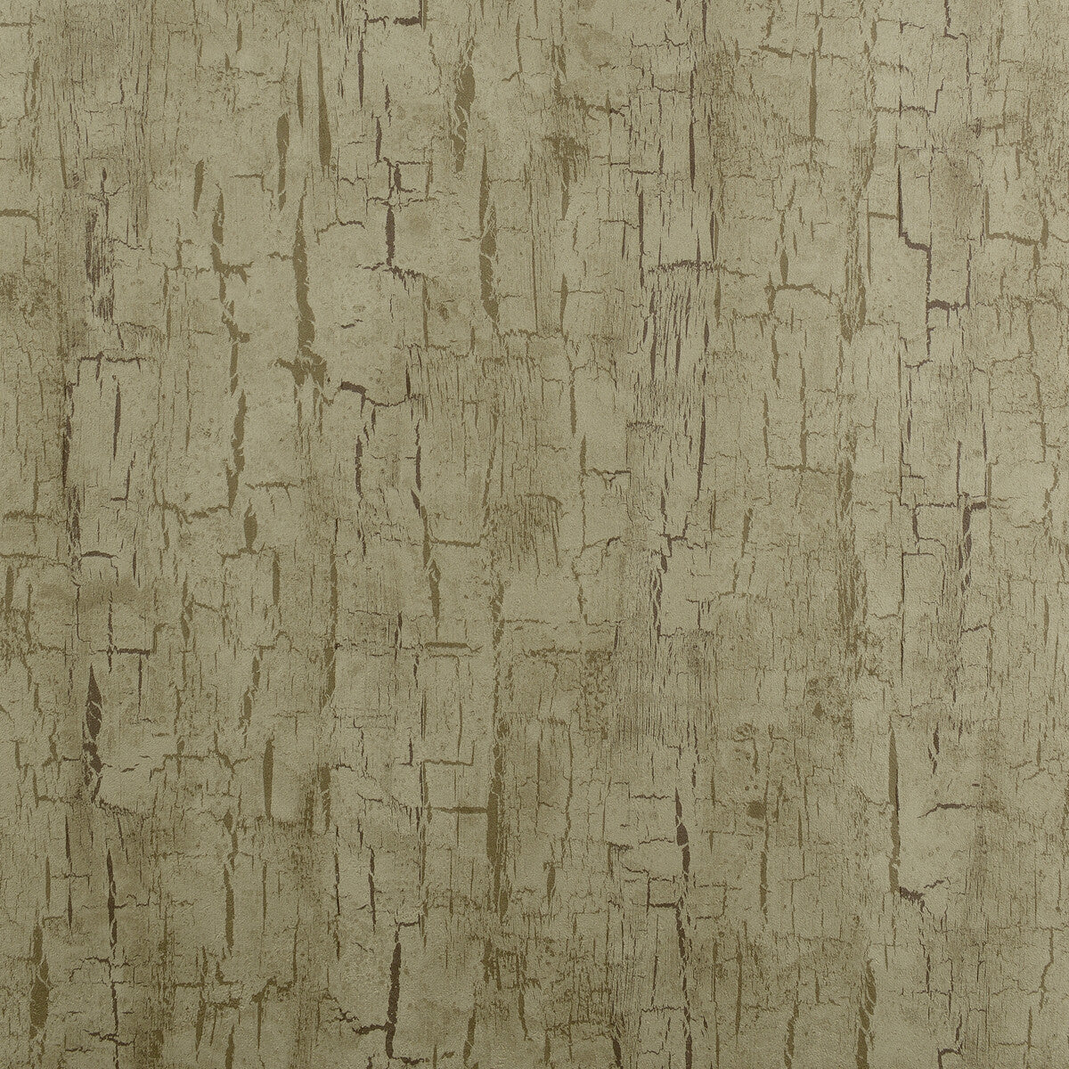 w006201cac0-tree-bark-antique-clarke-and-clarke