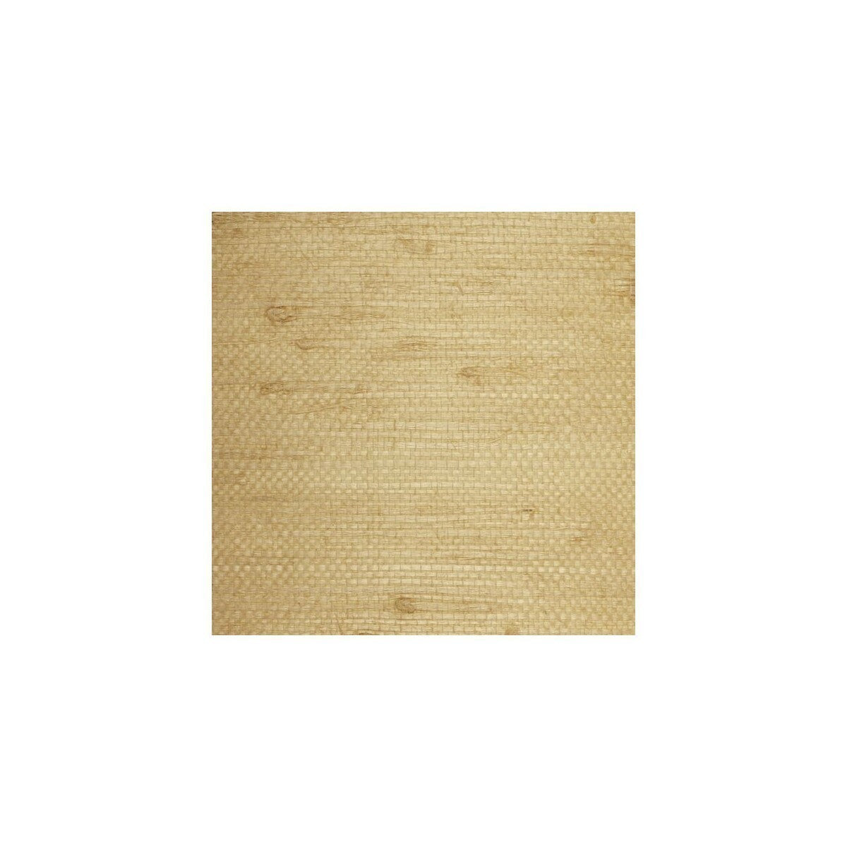 wse1266wt0-winfield-thybony-wse1266-wt-winfield-thybony - WINFIELD THYBONY Wallpaper