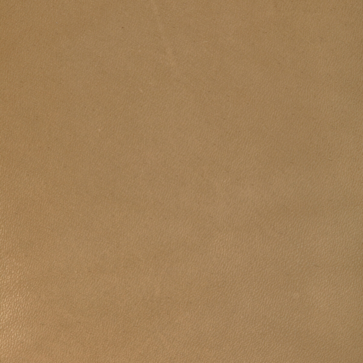 l-coirocamel0-kravet-design-l-coiro-camel-kravet-design