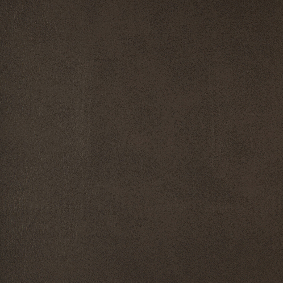 alum210-kravet-design-alum-21-kravet-design