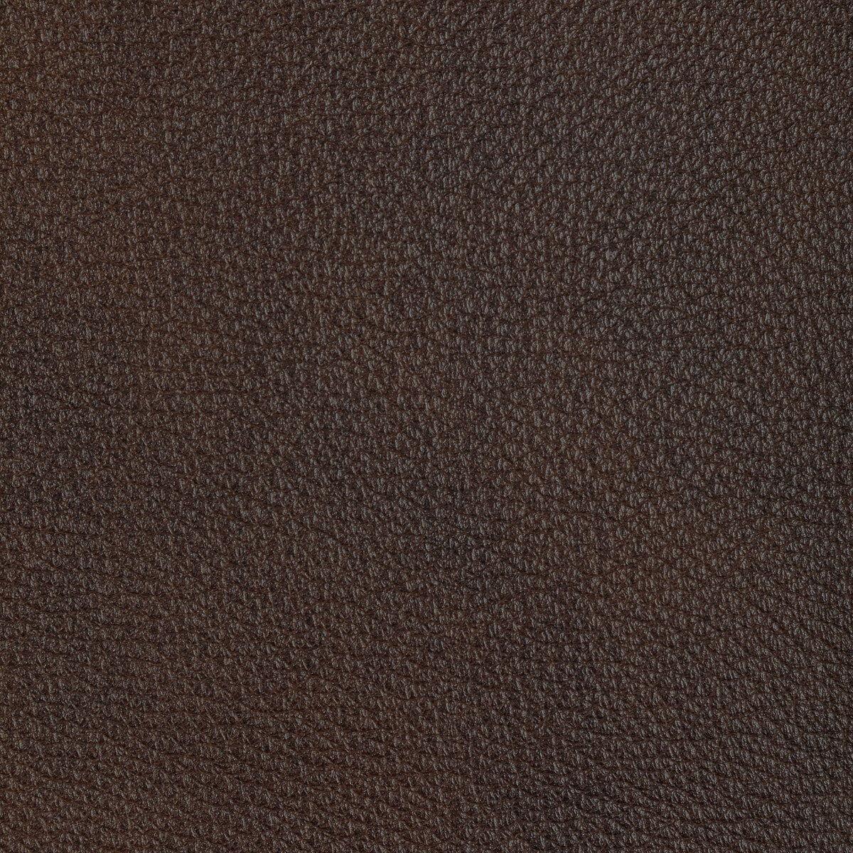 l-el-cerroespresso0-kravet-design-l-el-cerro-espresso-kravet-design