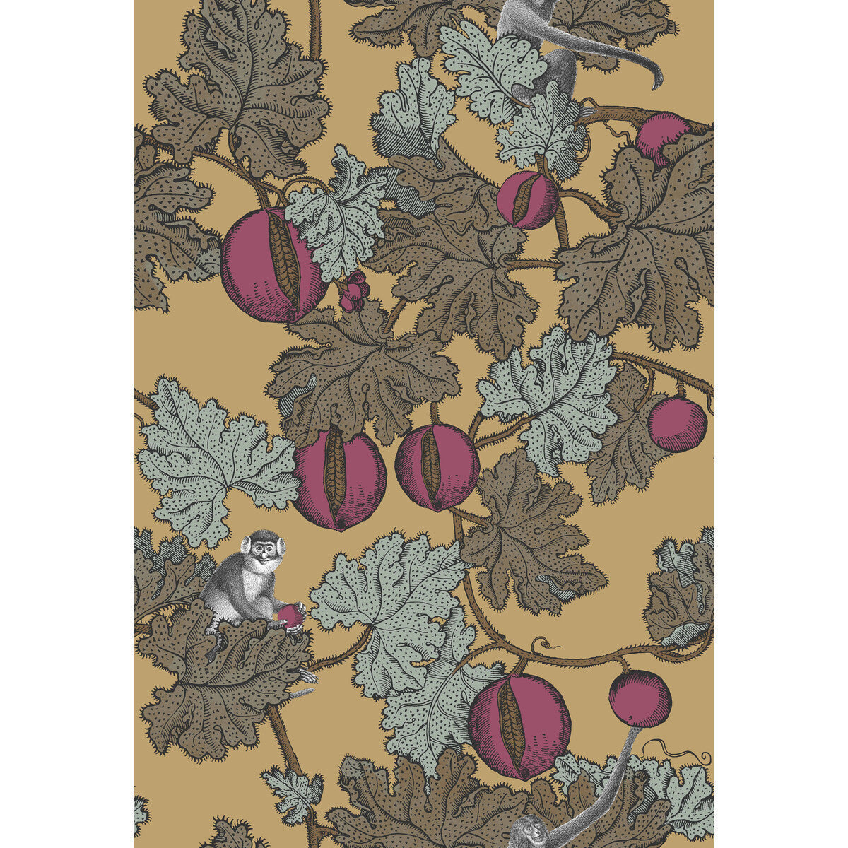 11425049cs0-frutto-proibito-magengld-cole-son - COLE & SON Wallpaper