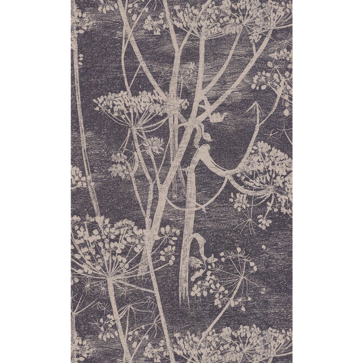 667048cs0-cow-parsley-taupeb-cole-son - COLE & SON Wallpaper