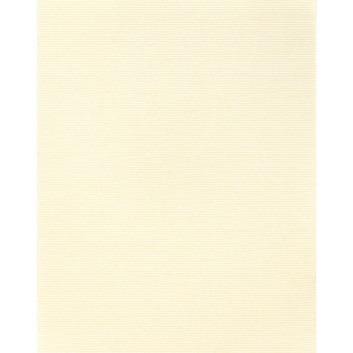 wns5580wt0-althea-plain-wool-winfield-thybony - WINFIELD THYBONY Wallpaper
