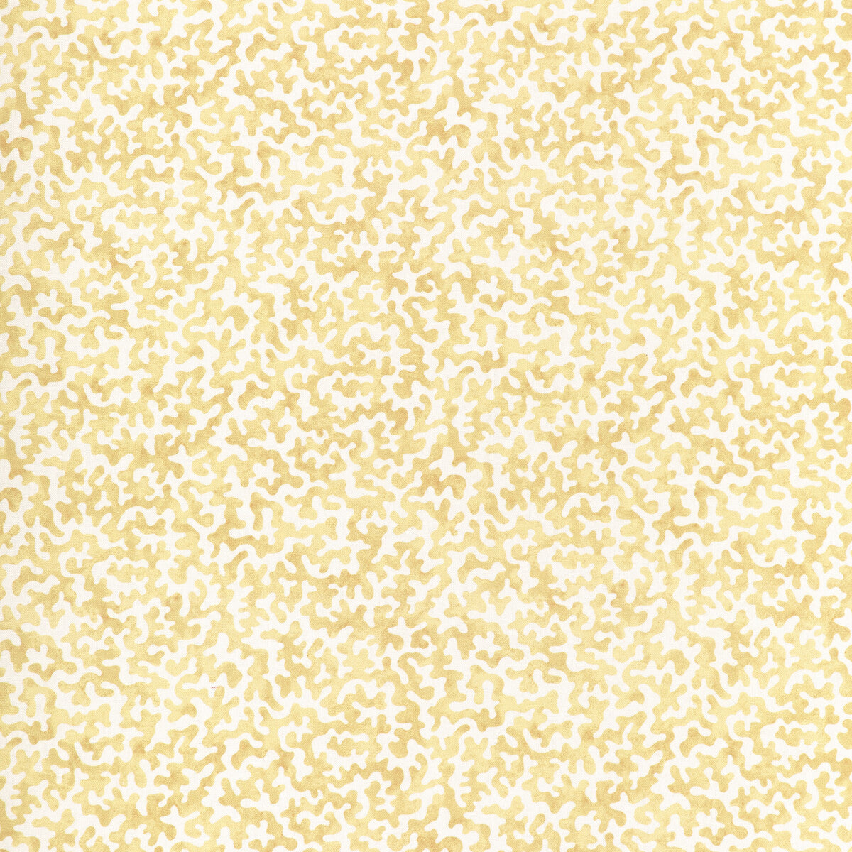 coralcoast140-coralcoast-cornsilk-kravet-basics - KRAVET BASICS Fabric