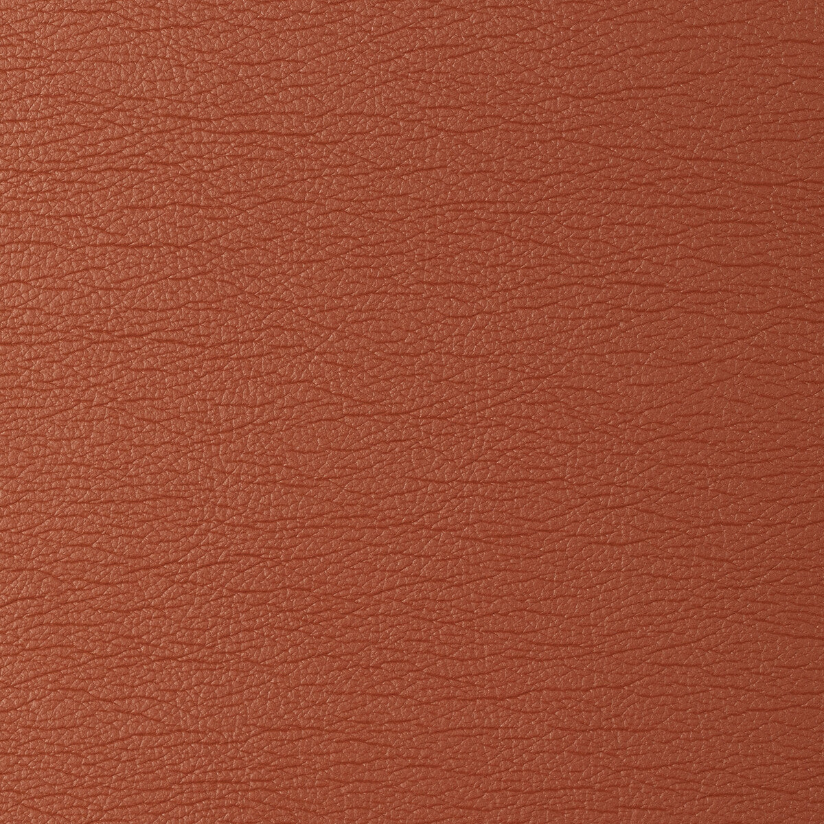 gato120-kravet-design-gato-12-kravet-design
