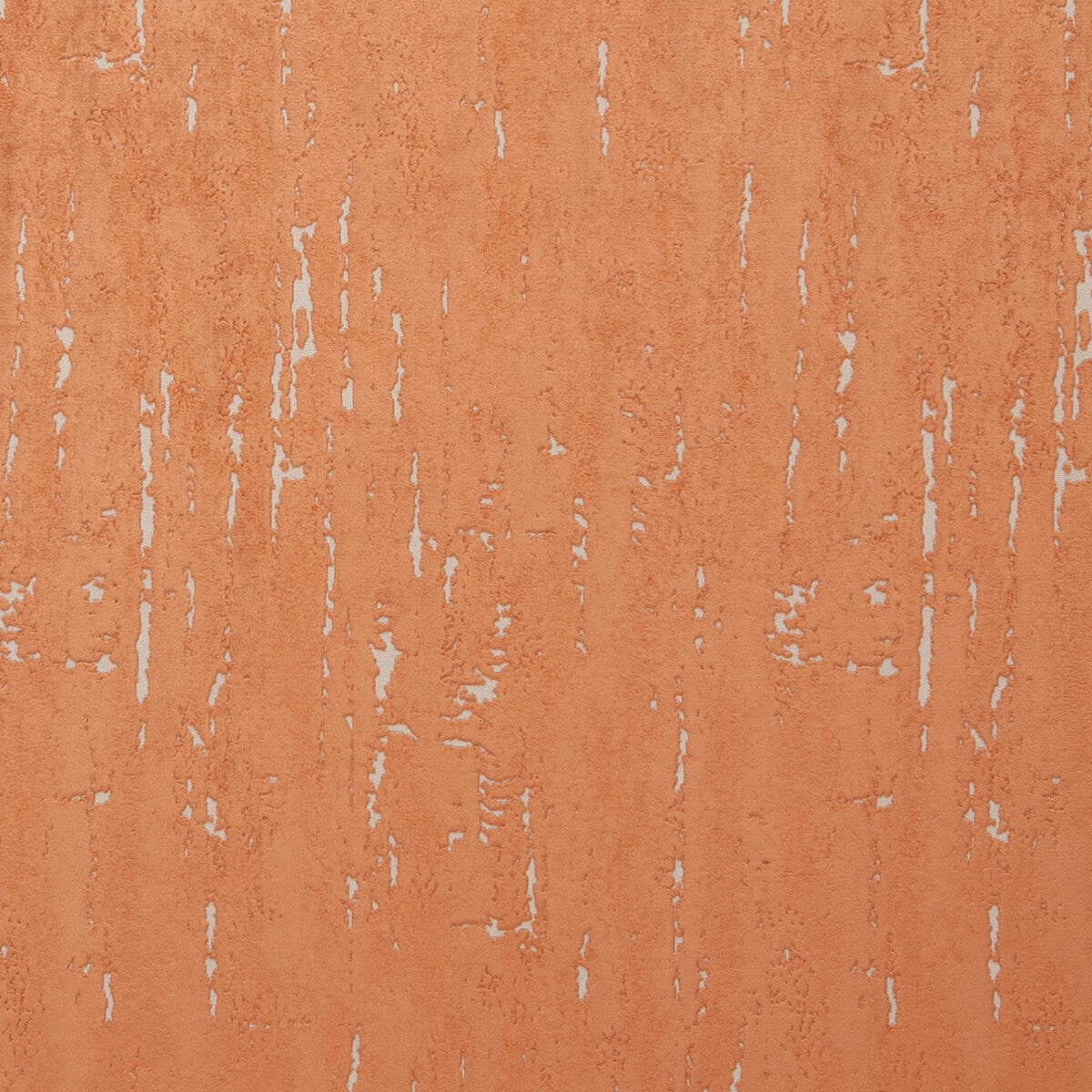 f075012cac0-aurora-spice-clarke-and-clarke - CLARKE AND CLARKE Fabric