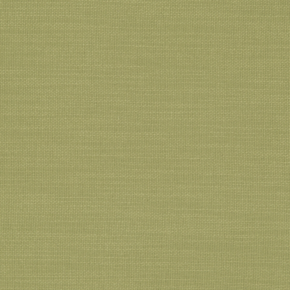 f059456cac0-nantucket-willow-clarke-and-clarke