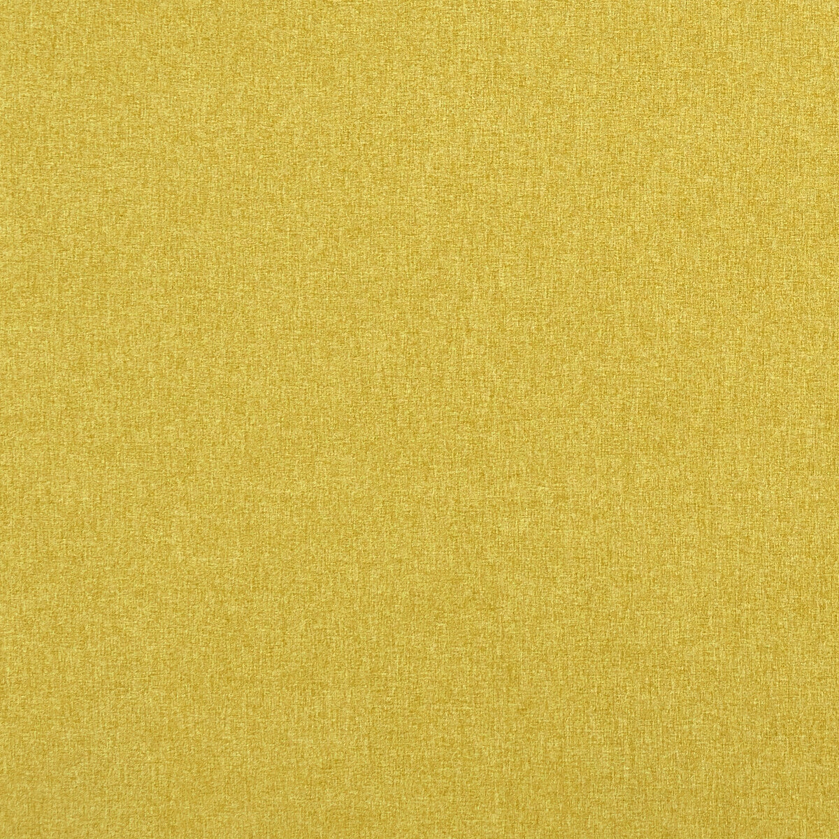 f084870cac0-highlander-sunshine-clarke-and-clarke - CLARKE AND CLARKE Fabric