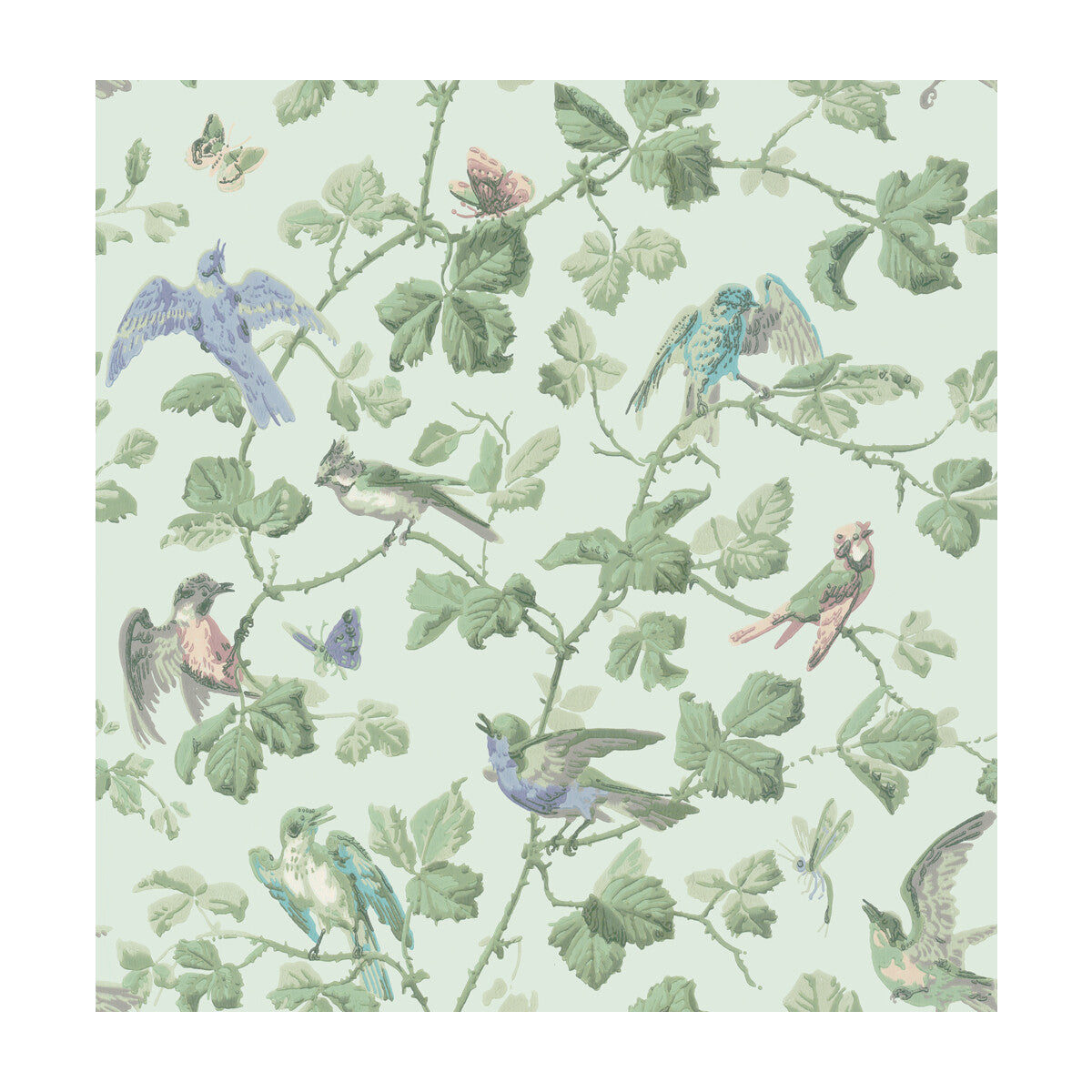 1002007cs0-winter-birds-duck-egg-cole-son