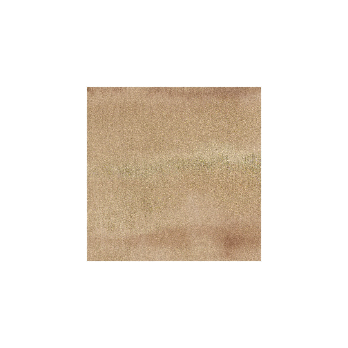 wdw2180wt0-shoreline-epic-winfield-thybony - WINFIELD THYBONY Wallpaper