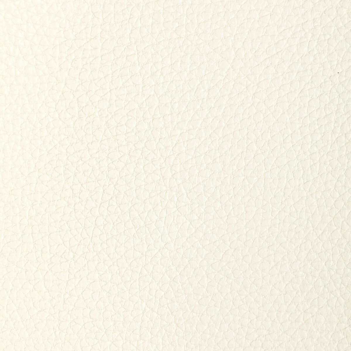 l-tucumblanc0-kravet-design-l-tucum-blanc-kravet-design