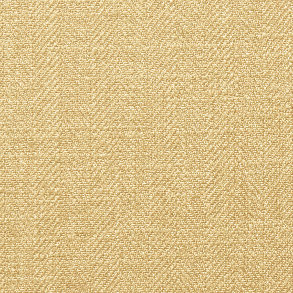 f064817cac0-henley-honey-clarke-and-clarke - CLARKE AND CLARKE Fabric