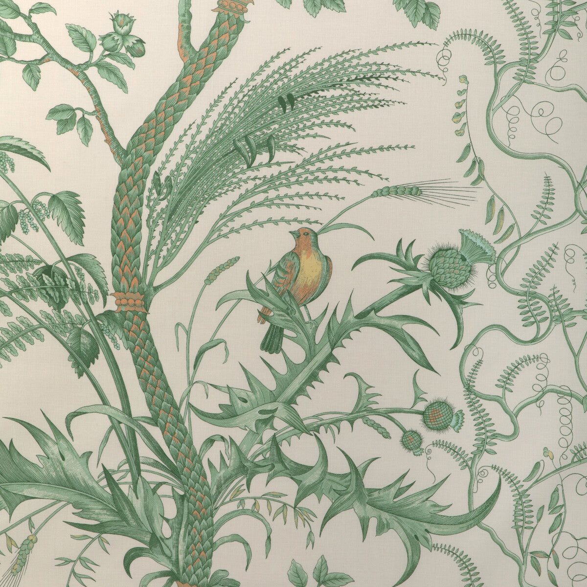 br-794314350-bird-and-thistle-cotton-print-green-brunschwig-fils - BRUNSCHWIG & FILS Fabric