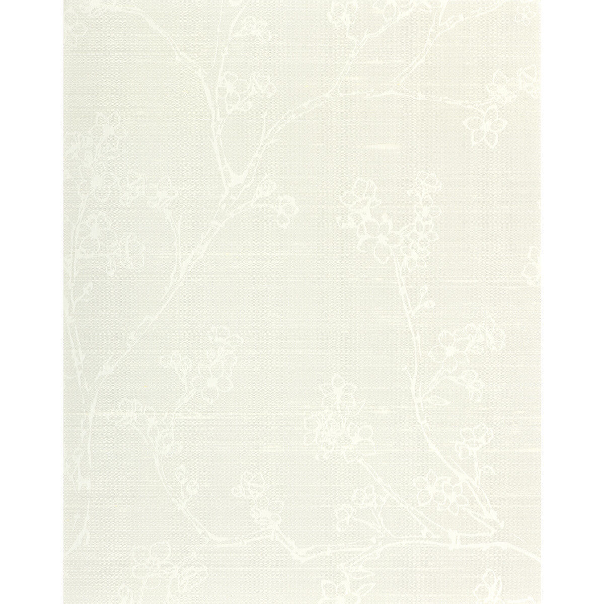 wns5512wt0-kaisa-coconut-winfield-thybony - WINFIELD THYBONY Wallpaper